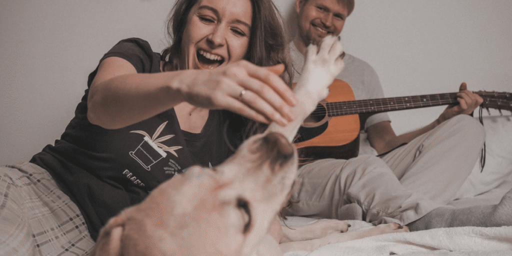 músicas para pets