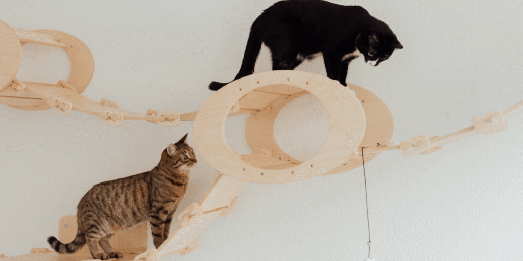 espaço sensorial