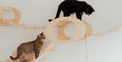 espaço sensorial