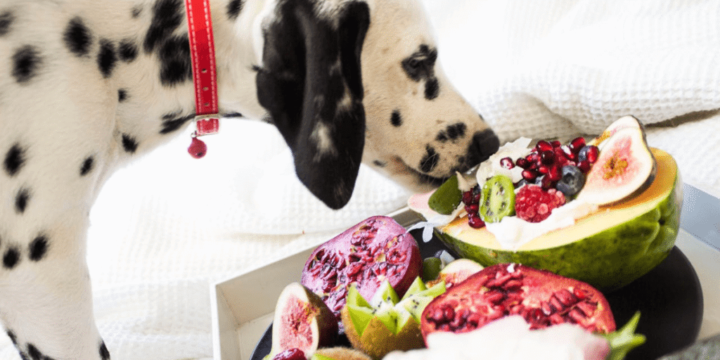 Descubra se a alimentação natural ajuda na perda de peso em pets. Veja os benefícios, cuidados e quando optar por essa abordagem.