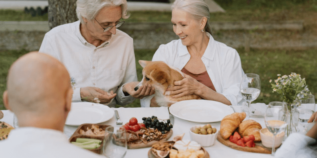 Descubra o que cachorro pode comer com segurança. Veja a lista completa de alimentos permitidos e proibidos. Cuide bem do seu pet com esse guia essencial.