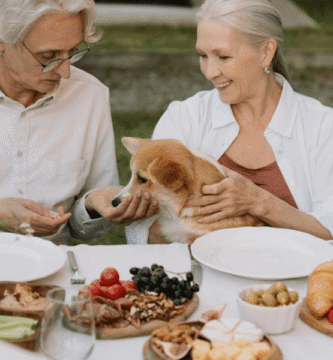Descubra o que cachorro pode comer com segurança. Veja a lista completa de alimentos permitidos e proibidos. Cuide bem do seu pet com esse guia essencial.