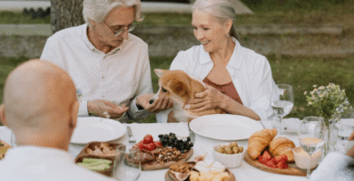 Descubra o que cachorro pode comer com segurança. Veja a lista completa de alimentos permitidos e proibidos. Cuide bem do seu pet com esse guia essencial.