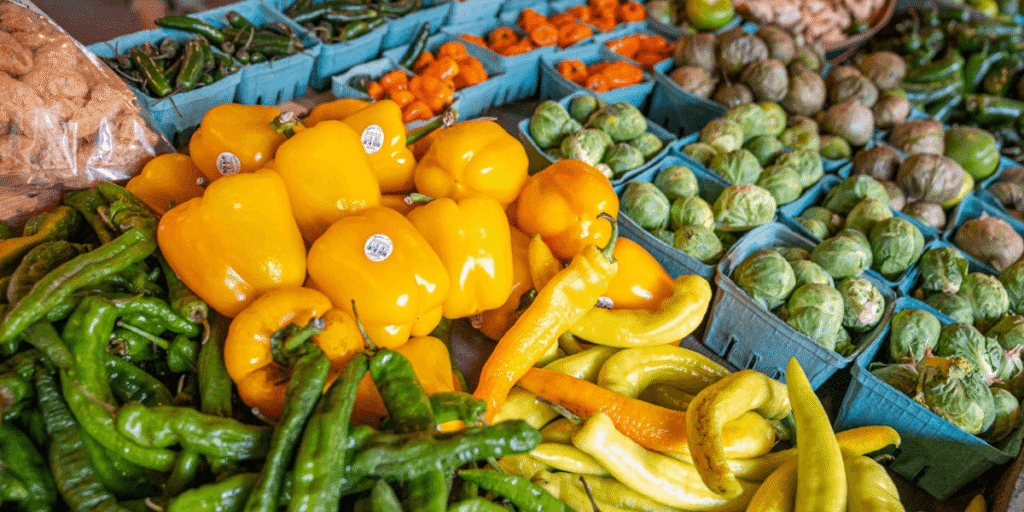 Descubra quais legumes e verduras os cães podem comer com segurança. Guia completo com tabela, dicas de preparo e cuidados essenciais.