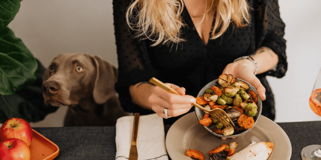 Saiba como iniciar a alimentação natural para cães. Veja os benefícios, alimentos permitidos, cuidados e um plano de transição completo.